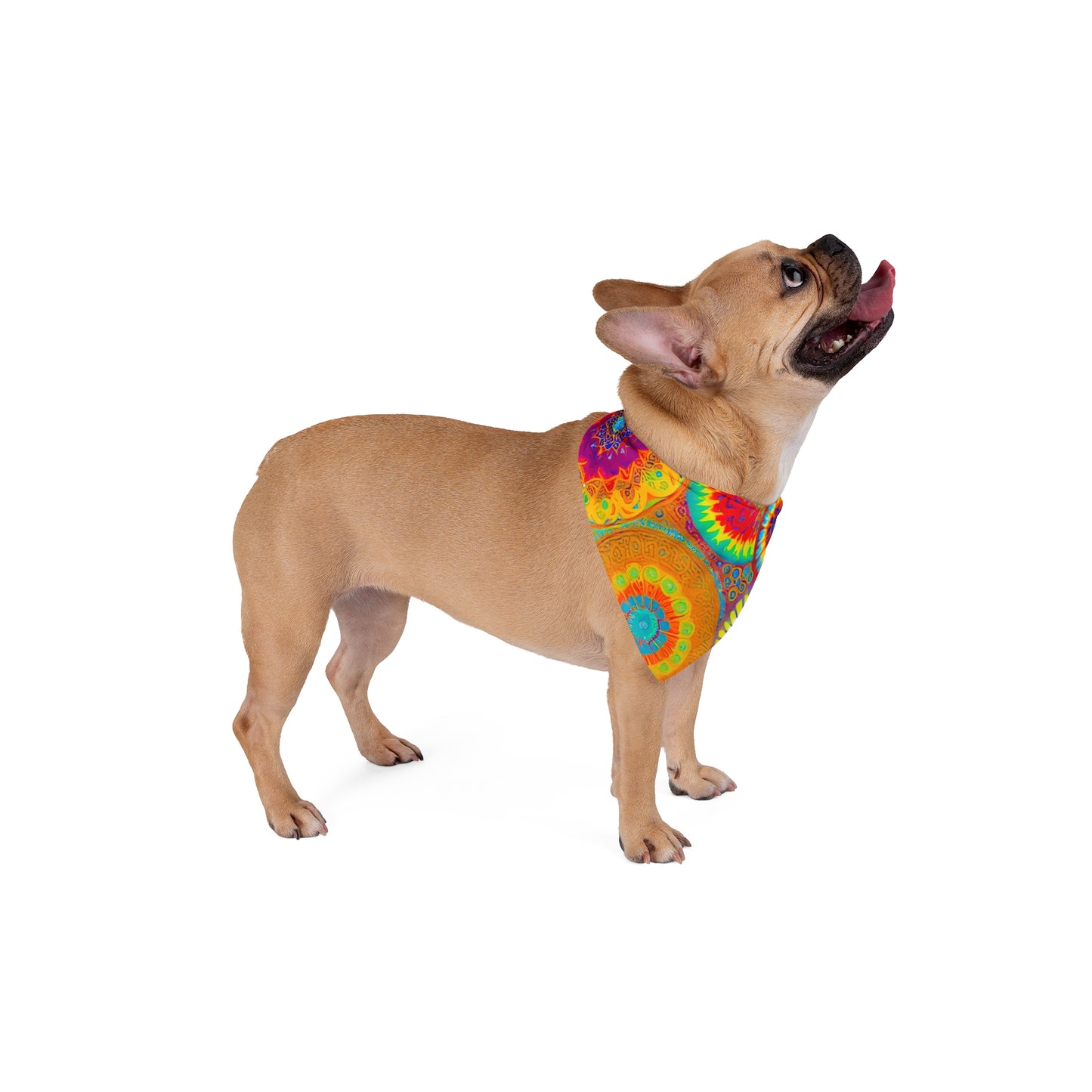 Dog Bandana Collar | Whirlwind | ZwoLife