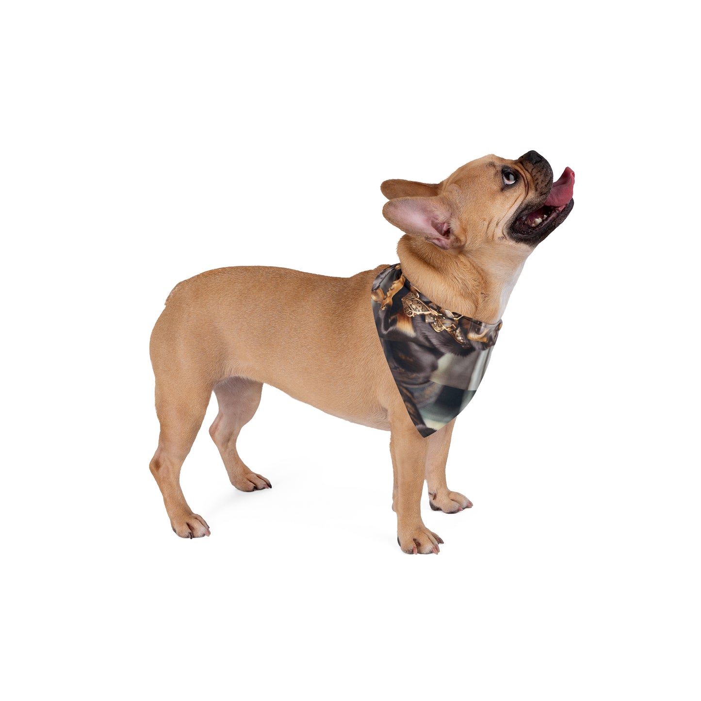 Custom Dog Bandana | Head Dog In Charge | ZwoLife