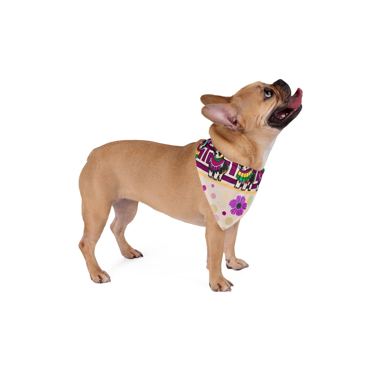 Bandana Collar For Dogs | Four Amigos | ZwoLife