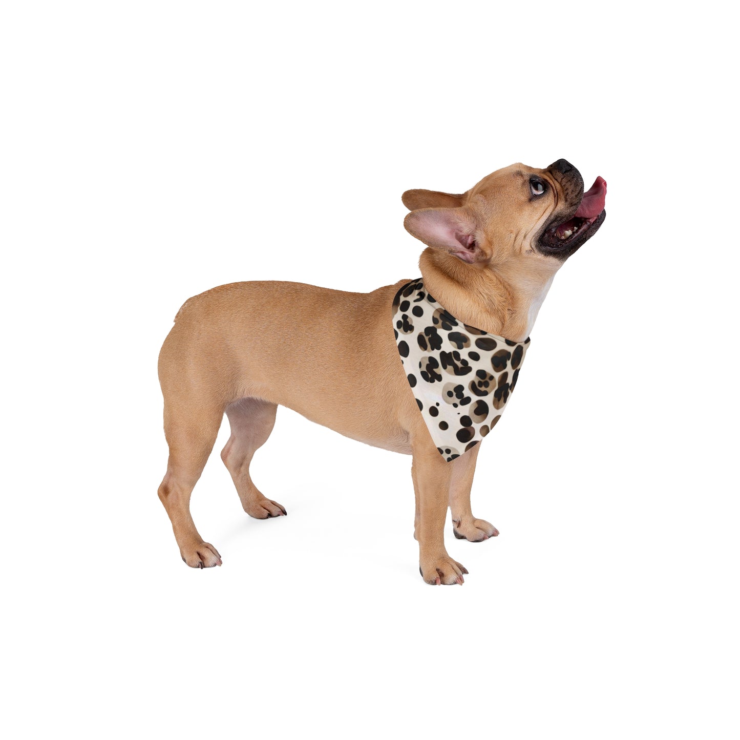 Customized Bandanas For Dogs | Spotted | ZwoLife