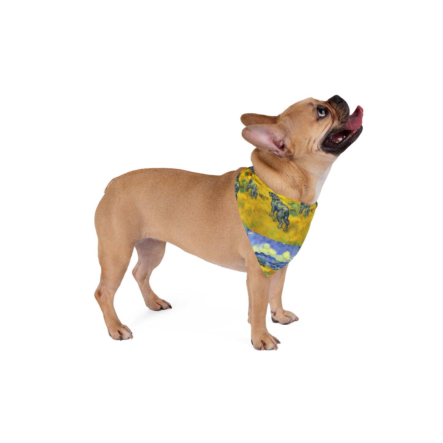 Stylish Bandana For Dogs | Golden Fields | ZwoLife