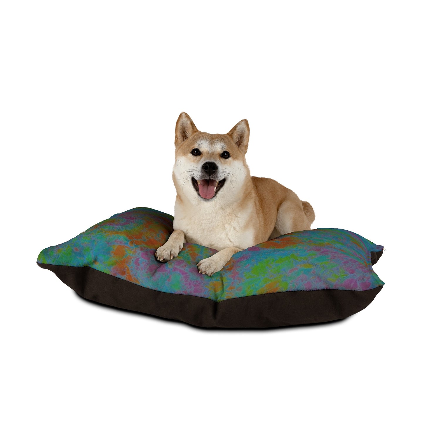 Accessories For Dogs | Groovy Baby | ZwoLife